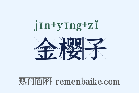 金樱子是什么意思的图片